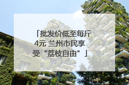 批发价低至每斤4元 兰州市民享受“荔枝自由”