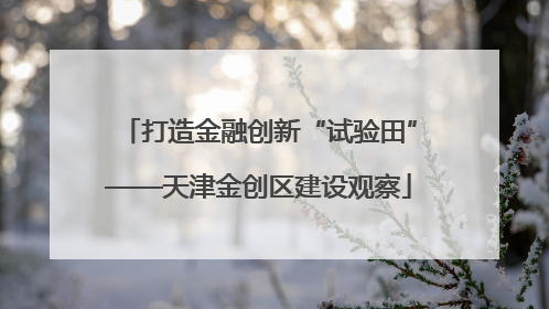 打造金融创新“试验田”——天津金创区建设观察