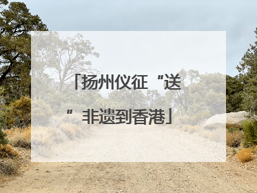 扬州仪征“送”非遗到香港