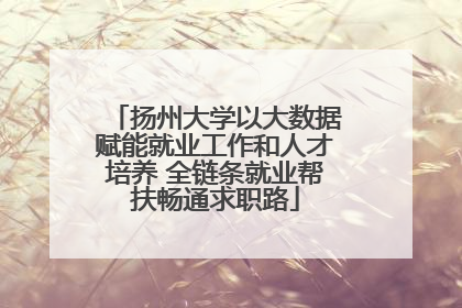 扬州大学以大数据赋能就业工作和人才培养 全链条就业帮扶畅通求职路