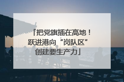 把党旗插在高地！跃进港向“岗队区”创建要生产力