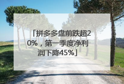 拼多多盘前跌超20%，第一季度净利润下降45%