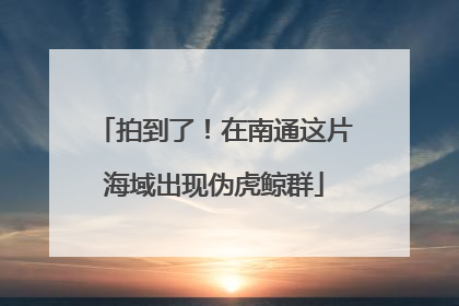 拍到了！在南通这片海域出现伪虎鲸群