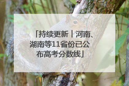 持续更新︱河南、湖南等11省份已公布高考分数线