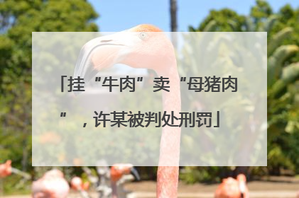 挂“牛肉”卖“母猪肉”，许某被判处刑罚