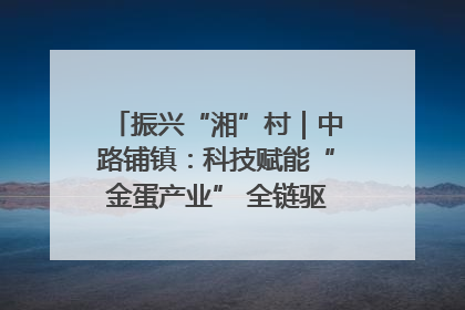振兴“湘”村｜中路铺镇：科技赋能“金蛋产业” 全链驱动乡村振兴