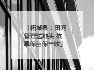 柘城县：田间管理送地头 抗旱保苗保丰收
