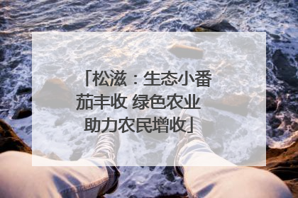 松滋：生态小番茄丰收 绿色农业助力农民增收