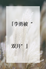 李勇被“双开”