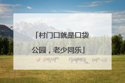 村门口就是口袋公园，老少同乐