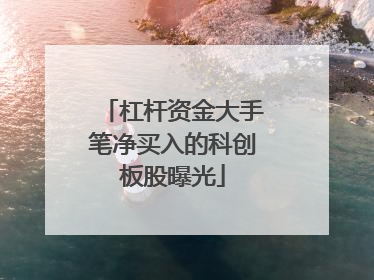 杠杆资金大手笔净买入的科创板股曝光