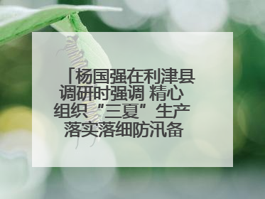 杨国强在利津县调研时强调 精心组织“三夏”生产 落实落细防汛备汛工作