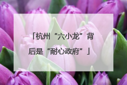 杭州“六小龙”背后是“耐心政府”