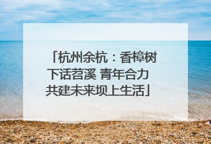 杭州余杭：香樟树下话苕溪 青年合力共建未来坝上生活