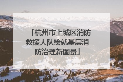 杭州市上城区消防救援大队绘就基层消防治理新图景