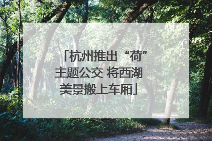杭州推出“荷”主题公交 将西湖美景搬上车厢