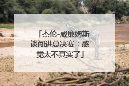 杰伦-威廉姆斯谈闯进总决赛：感觉太不真实了