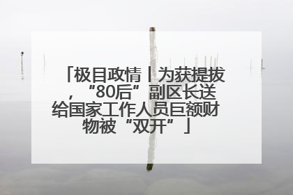 极目政情丨为获提拔，“80后”副区长送给国家工作人员巨额财物被“双开”
