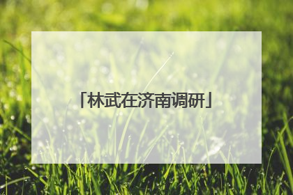 林武在济南调研