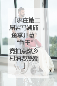 枣庄第二届岩马湖捕鱼季开幕 “鱼王” 竞拍点燃乡村消费热潮