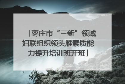 枣庄市“三新”领域妇联组织领头雁素质能力提升培训班开班