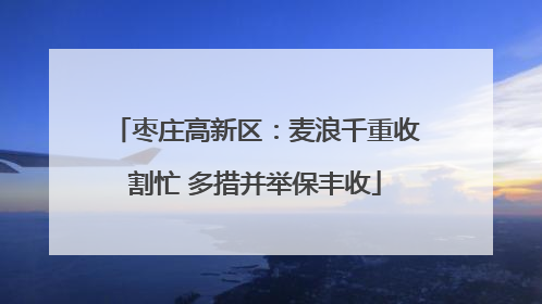 枣庄高新区：麦浪千重收割忙 多措并举保丰收