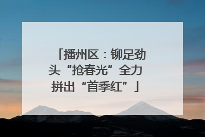 播州区：铆足劲头“抢春光”全力拼出“首季红”