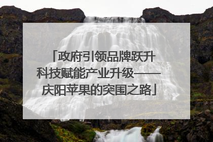 政府引领品牌跃升 科技赋能产业升级——庆阳苹果的突围之路