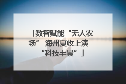 数智赋能“无人农场” 海州夏收上演“科技丰景”