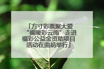 方寸彩票聚大爱 “福暖彩云南”走进福彩公益金资助项目活动在曲靖举行