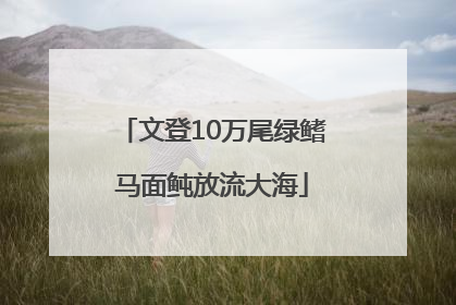 文登10万尾绿鳍马面鲀放流大海