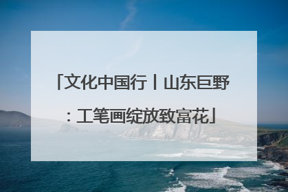 文化中国行丨山东巨野：工笔画绽放致富花