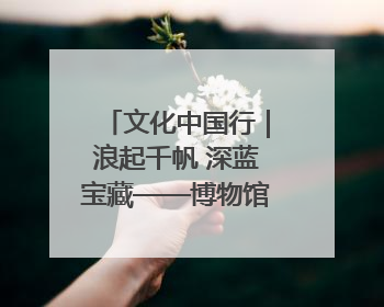 文化中国行｜浪起千帆 深蓝宝藏——博物馆里的海丝遗珍