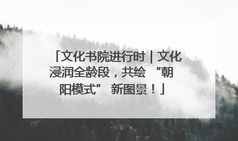 文化书院进行时｜文化浸润全龄段，共绘 “朝阳模式” 新图景！