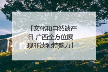 文化和自然遗产日 广西全方位展现非遗独特魅力