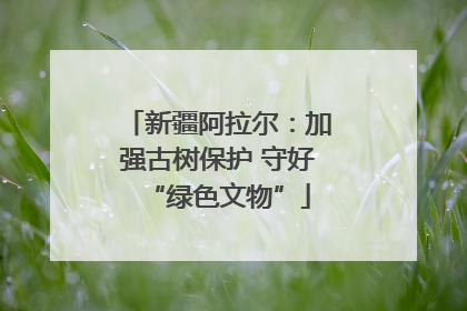 新疆阿拉尔：加强古树保护 守好“绿色文物”