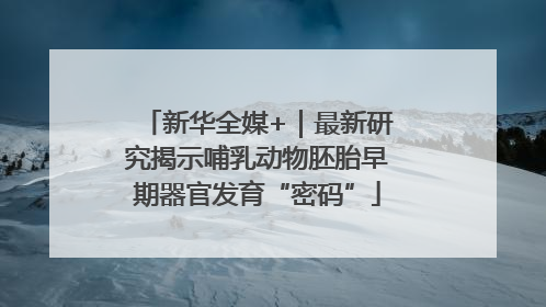 新华全媒+｜最新研究揭示哺乳动物胚胎早期器官发育“密码”