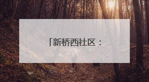 新桥西社区：制作纸杯蛋糕