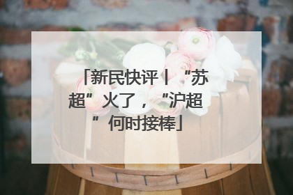 新民快评丨“苏超”火了，“沪超”何时接棒