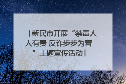 新民市开展“禁毒人人有责 反诈步步为营”主题宣传活动
