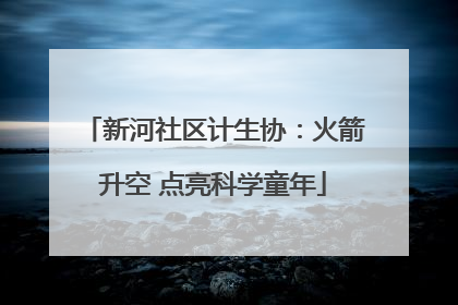新河社区计生协：火箭升空 点亮科学童年