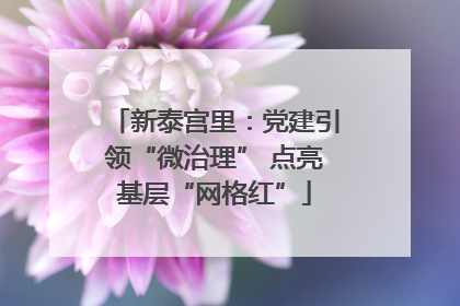 新泰宫里：党建引领“微治理” 点亮基层“网格红”
