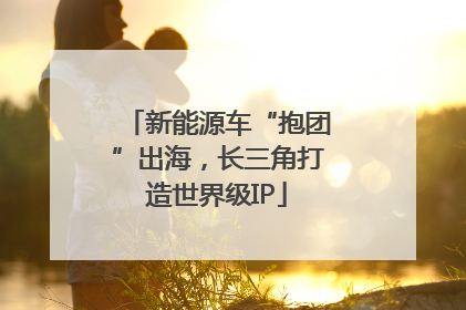 新能源车“抱团”出海，长三角打造世界级IP