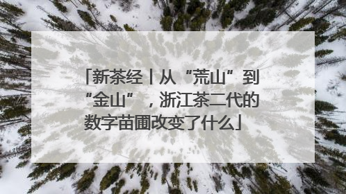 新茶经丨从“荒山”到“金山”，浙江茶二代的数字苗圃改变了什么