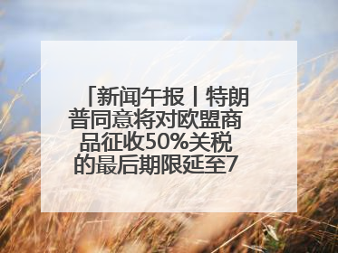 新闻午报丨特朗普同意将对欧盟商品征收50%关税的最后期限延至7月9日；00后舞蹈老师“花式”推介家乡岳阳>>