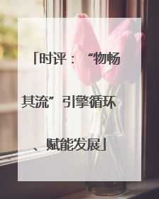 时评：“物畅其流”引擎循环、赋能发展