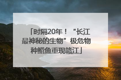 时隔20年！“长江最神秘的生物”极危物种鳤鱼重现赣江