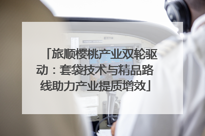 旅顺樱桃产业双轮驱动：套袋技术与精品路线助力产业提质增效