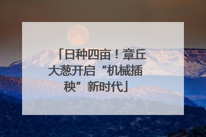 日种四亩！章丘大葱开启“机械插秧”新时代