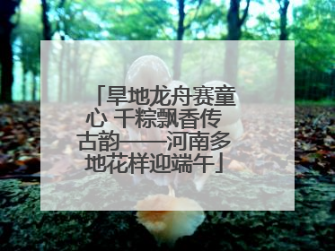 旱地龙舟赛童心 千粽飘香传古韵——河南多地花样迎端午